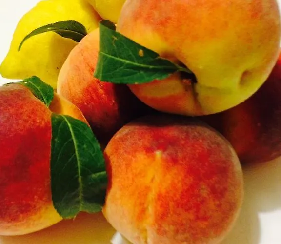 Neptunus 3* Νετούνο