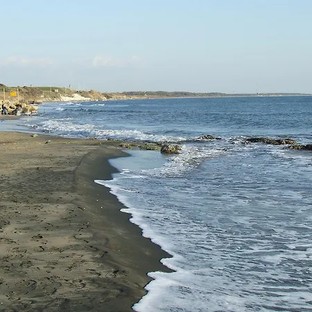 Neptunus Nettuno